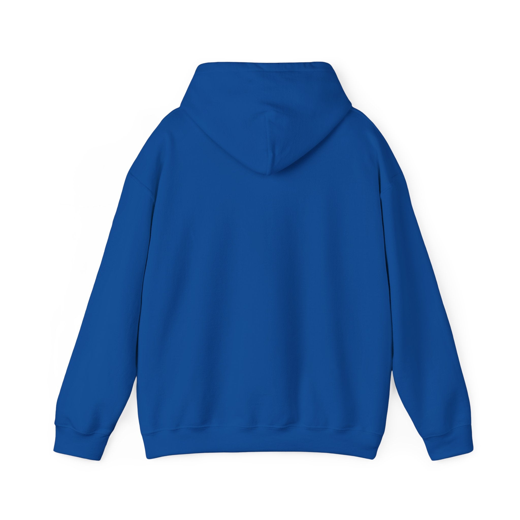 Hoodie: "Respectfully, I Don't Give a Shit" Graphic Oversized Pullover