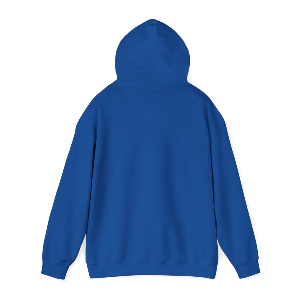 Hoodie: "Respectfully, I Don't Give a Shit" Graphic Oversized Pullover