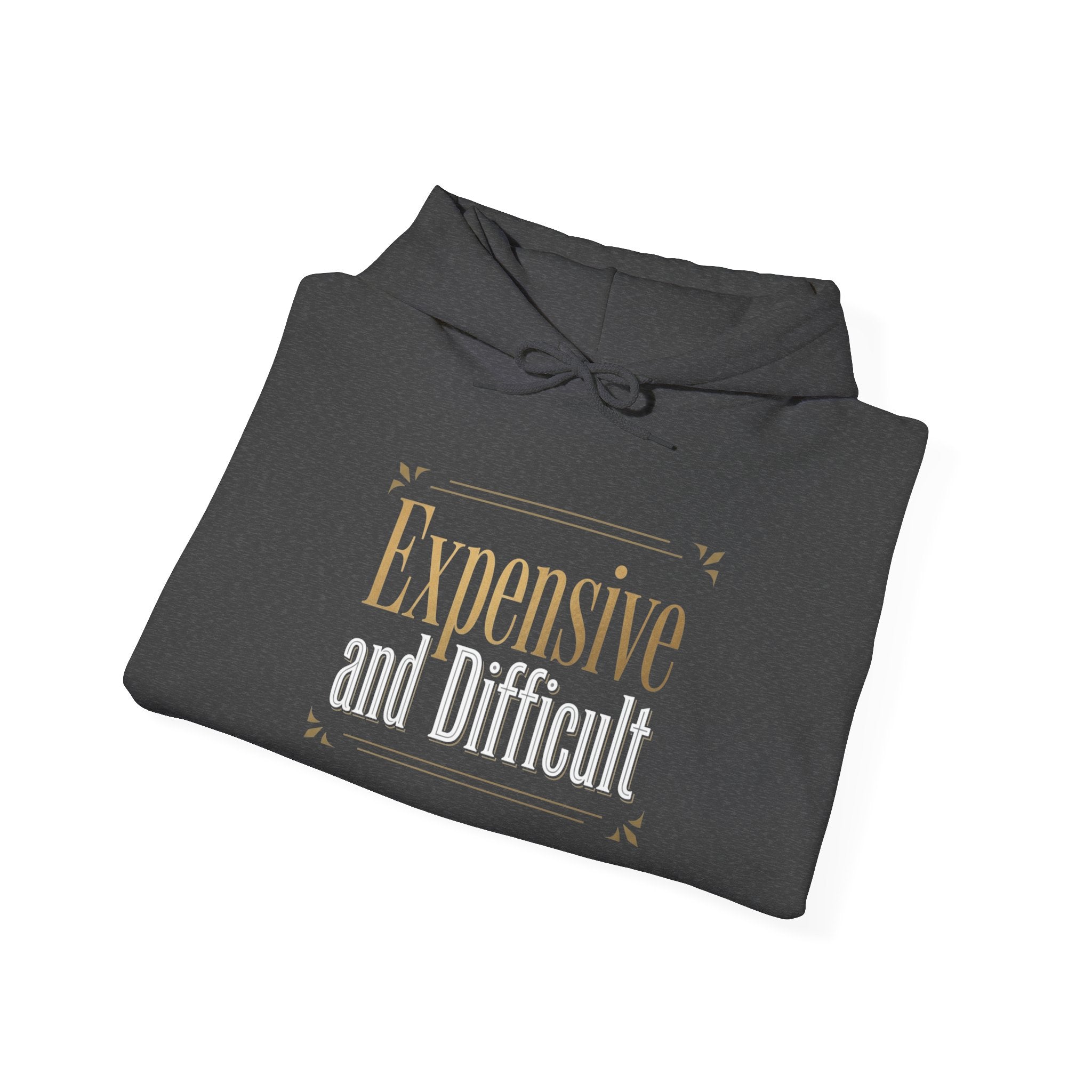 Expensive Taste Hoodie — Minimal Gold Typography Hooded Sweatshirt