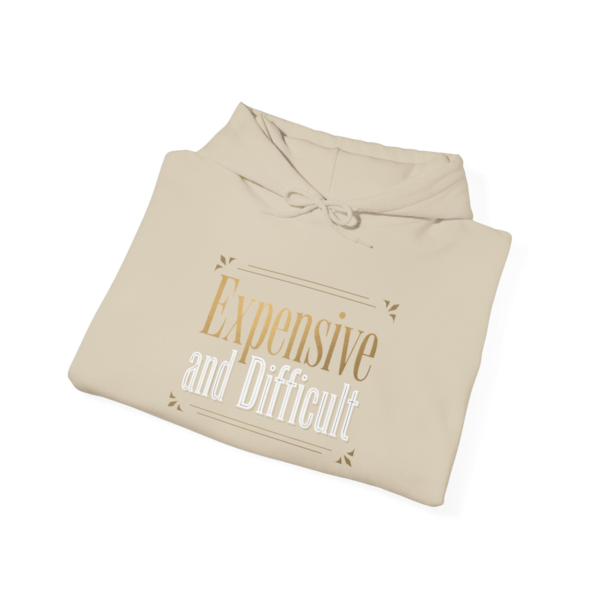 Expensive Taste Hoodie — Minimal Gold Typography Hooded Sweatshirt