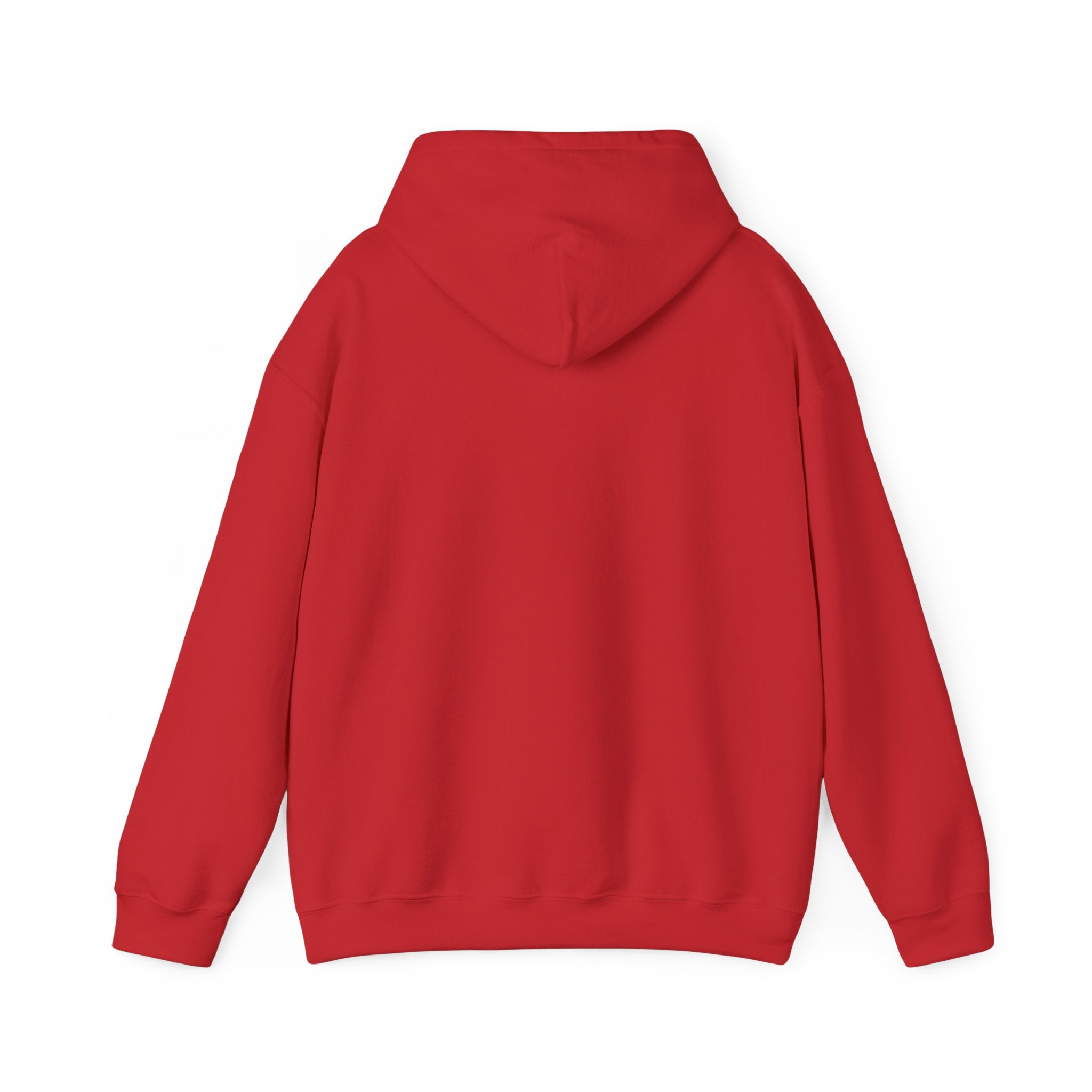 Hoodie: "Respectfully, I Don't Give a Shit" Graphic Oversized Pullover